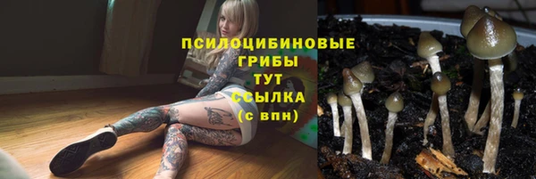 спиды Алексин