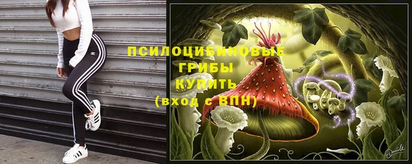 гидропоника Алексеевка
