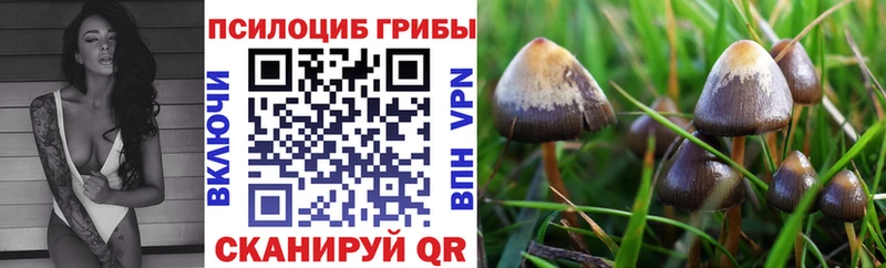 Галлюциногенные грибы Magic Shrooms  Борзя 